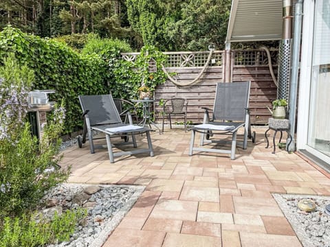 Plant, Furniture, Property, Road Surface, Outdoor Furniture, Chair, Grass, Shade, Tree, Wood