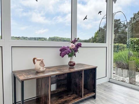 Flower, Cloud, Sky, Plant, Table, Property, Window, Building, Wood, Flowerpot
