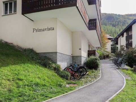 Plant, Wheel, Property, Bicycle, Window, Leaf, Building, Architecture, Land Lot