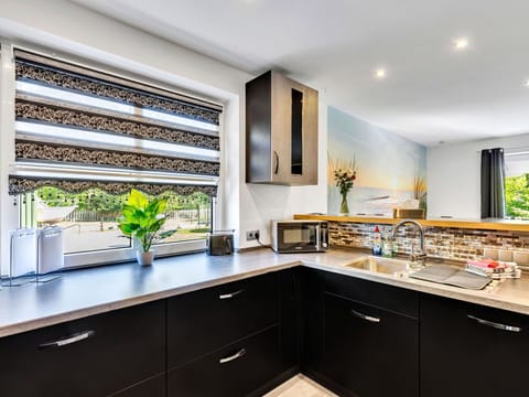 Interior Design, Home, Kitchen, Countertop, Apartment, Houseplant, Window Treatment, Cabinetry, Paint