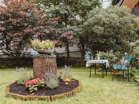 Flower, Plant, Leaf, Tree, Botany, Grass, Shrub, Woody Plant, Landscape, Groundcover