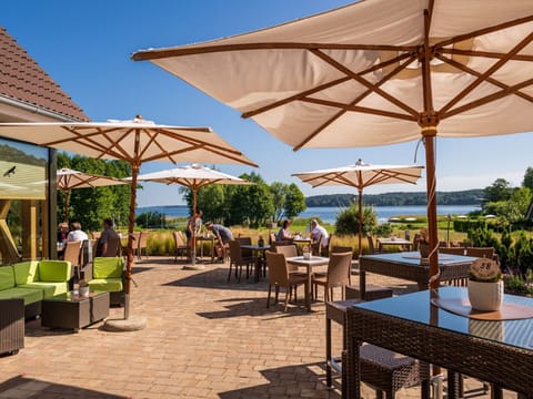 Sky, Plant, Building, Window, Tree, Wood, Land Lot, Cottage, House, Landscape