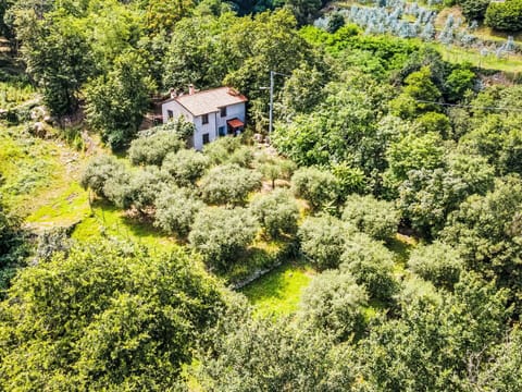 Sky, Property, Furniture, Table, Azure, Chair, Building, Window, Shade, Architecture