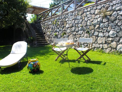 Plant, Furniture, Property, Plant Community, Leaf, Chair, Outdoor Furniture, Botany, Table, Land Lot