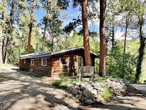 Welcome to Willowhaven!