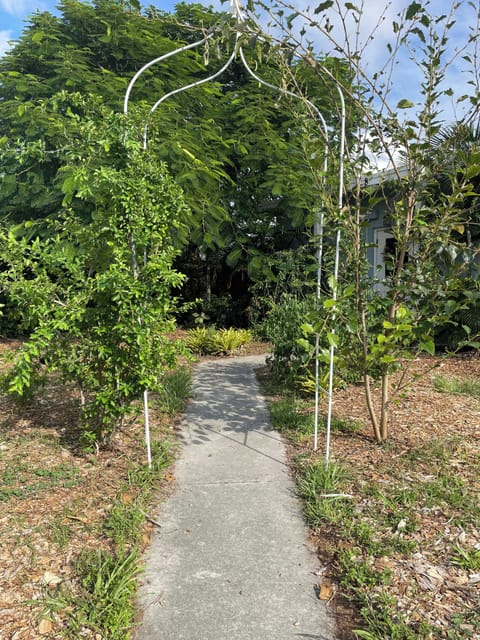 Pathway to the entrance of the house.