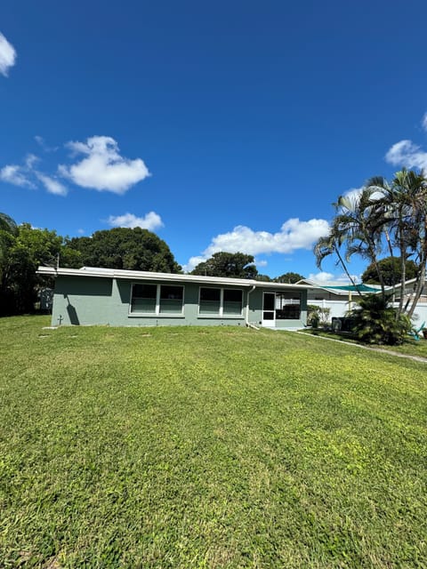 backyard of the house