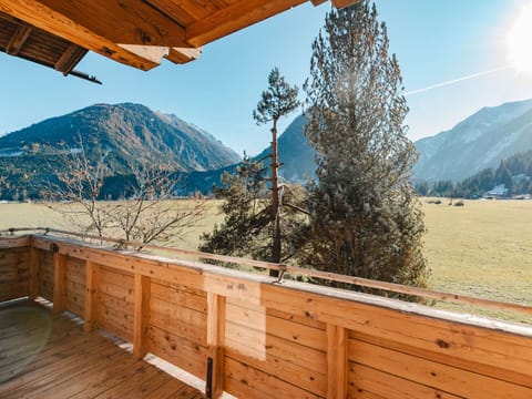 Sky, Mountain, Plant, Property, Light, Tree, Wood, Fence, Larch, Slope