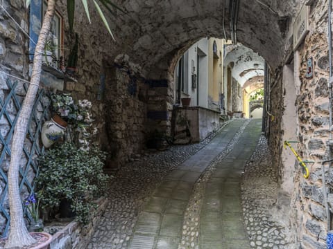 Building, Plant, Road Surface, Flooring, Road, Alley, City, Street, Facade, Arch