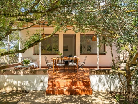Furniture, Property, Plant, Table, Window, Building, Shade, Chair, Tree, Wood