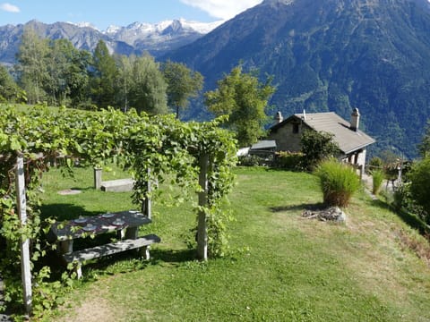 Plant, Mountain, Sky, Property, Natural Landscape, Tree, Land Lot, Cloud, Highland, Biome