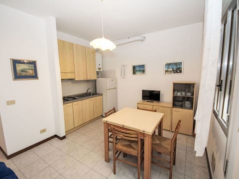 Plant, Building, Chair, Wood, Shade, Flower, Door, Tints And Shades, Landscape, Petal