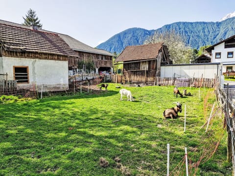Sky, Plant, Building, Property, Ecoregion, Nature, Window, Natural Landscape, House, Mountain