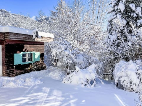 Snow, Sky, Building, Branch, Slope, Tree, Window, Natural Landscape, Twig, Freezing