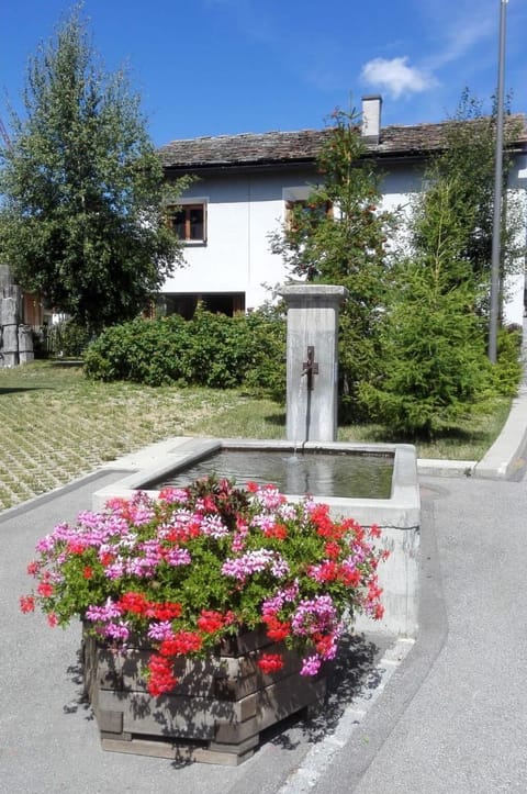 Flower, Plant, Sky, Property, Building, Botany, House, Window, Tree, Cloud