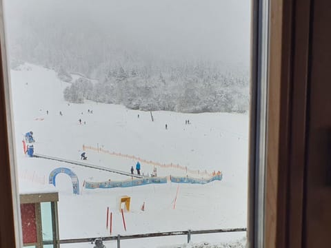 Snow, Window, Sky, Slope, Freezing, Tree, Wood, Winter Sport, Landscape, Winter