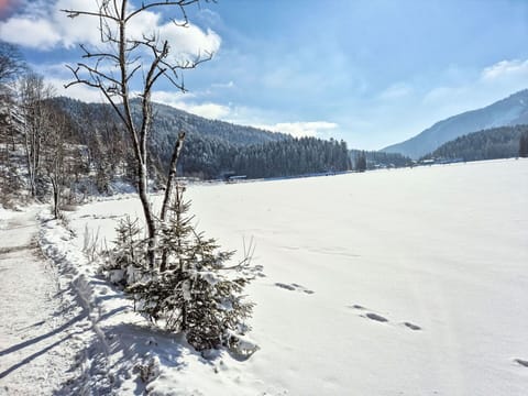 Mountainous Landforms, Winter, Snow, Nature, Tree, Mountain, Natural Environment, Natural Landscape, Wilderness, Hill
