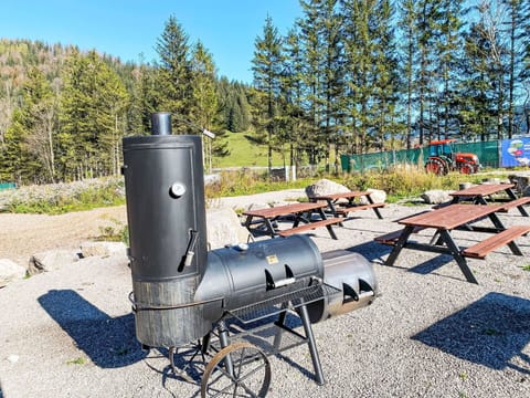 Wheel, Plant, Tree, Outdoor Furniture, Sky, Gas, Landscape, Vehicle