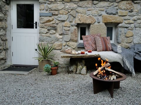 Plant, Property, Flowerpot, Houseplant, Window, Wood, Table, Outdoor Furniture, Road Surface, Wall