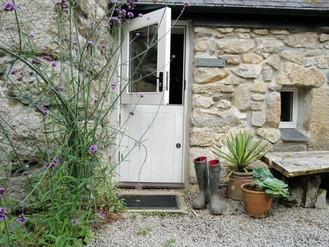 Plant, Flower, Building, Window, Flowerpot, Houseplant, Botany, Vegetation, House