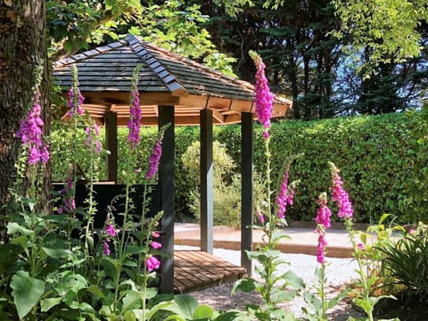 Plant, Flower, Botany, Tree, Building, Petal, Shrub, Grass, Landscape, Groundcover