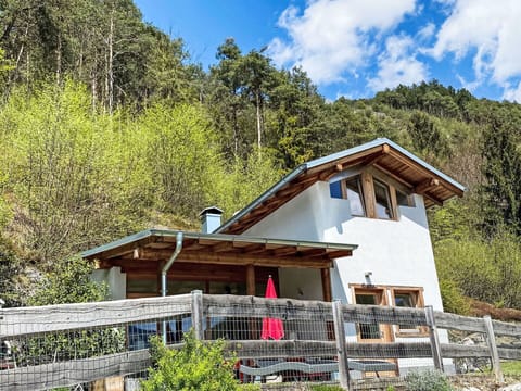 Plant, Cloud, Sky, Property, Building, Wood, Vegetation, Window, House, Land Lot