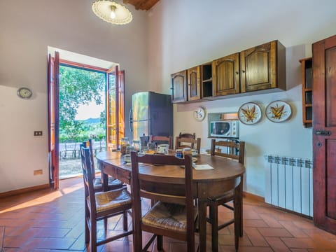 Plant, Building, Window, Flowerpot, Leaf, Tree, Road Surface, Vegetation, Houseplant, House