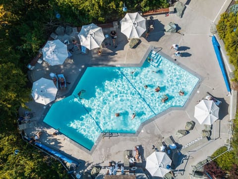 Bird's-eye view of the pool, ideal for a summer day.