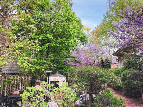 Back patio garden and patio