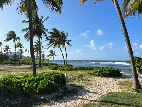 Beautiful sandy beach