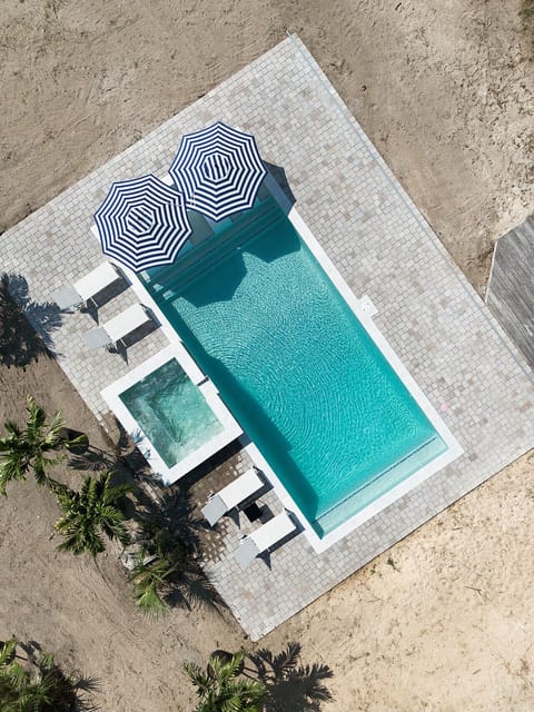 📸 Aerial view of Lotus Azul — private pool with spa, loungers, and umbrellas, designed for relaxation under the Florida sun.