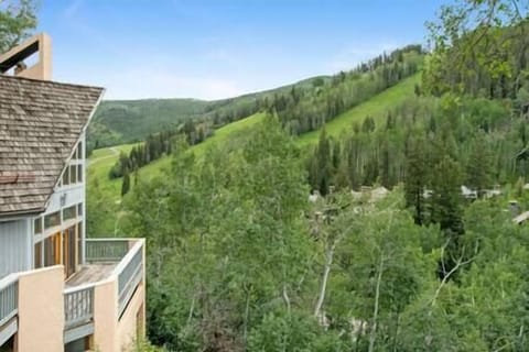 C44d0702 89d2 48fc b423 e70210f7d8fe