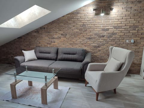 Vintage living room convertible sofa and arm chair