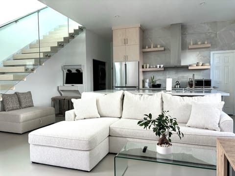 Open space living room and social area 