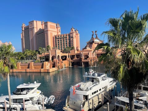 View from balcony (large side of unit).