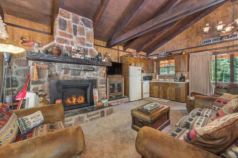 Living room is equipped with a fireplace