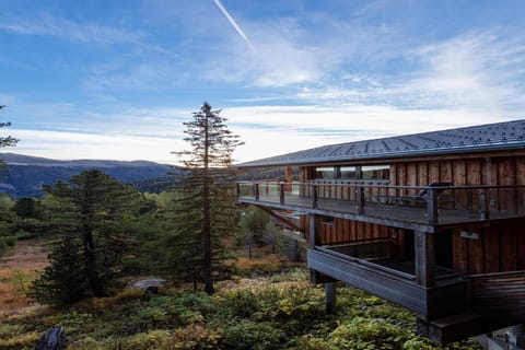 View from Holiday Home [summer]