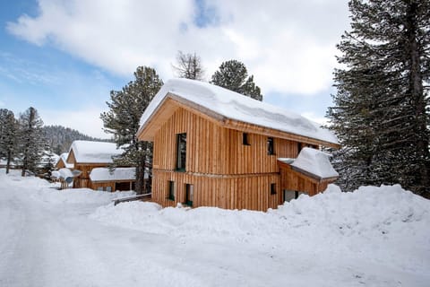 Holiday Home Exterior [winter]