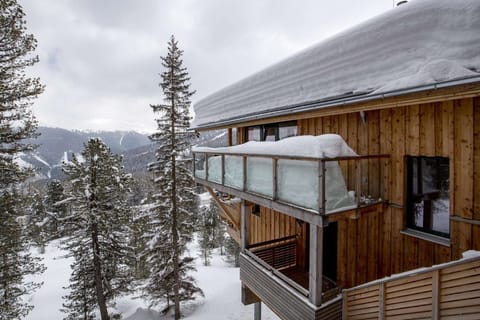 View from Holiday Home [winter]