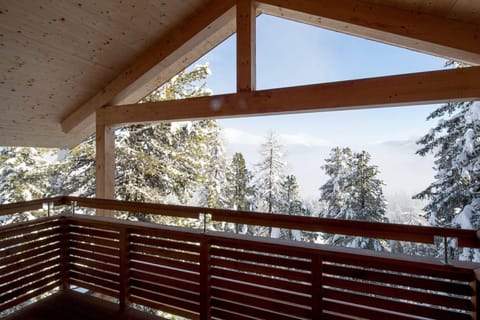 View from Holiday Home [winter]