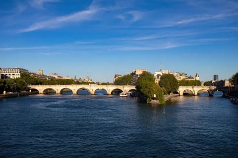 La Seine- a short walk from the apartment