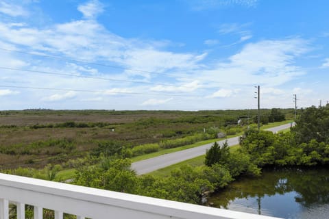 Authentic, and beautiful, Florida nature