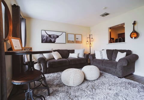 Living room with 55" Apple TV, sofa sleeper