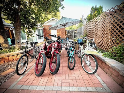 Free E-bikes! 