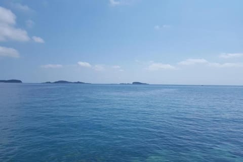 Immediate Surroundings [summer] (<1 km)