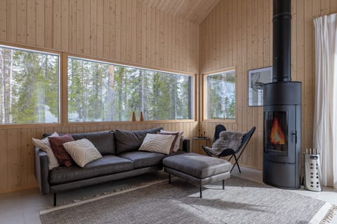 Living room & Fireplace