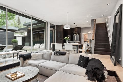 Living Room Open to Outside Patio Area