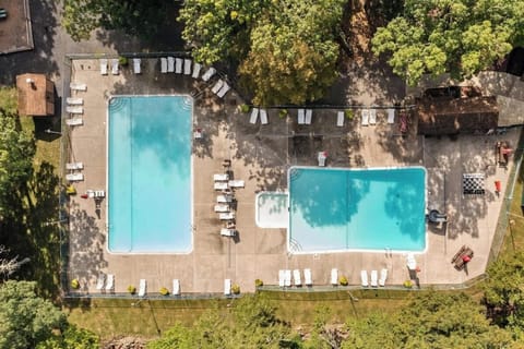 Sink into relaxation and enjoy the simple pleasures of poolside lounging