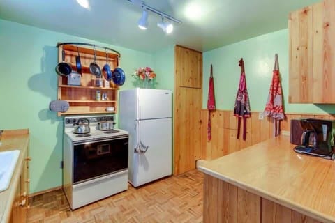 Electric stove & Fridge