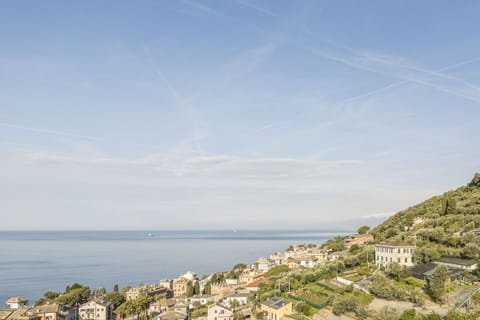 Autumn, Scenic View, Spring, Summer